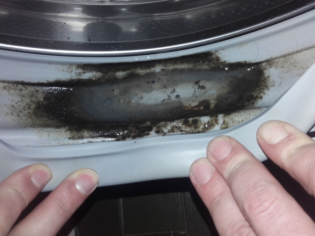 Waschmaschine stinkt? Vielleicht ist es nur die Feuchtigkeit im Dichtgummi? (#02)