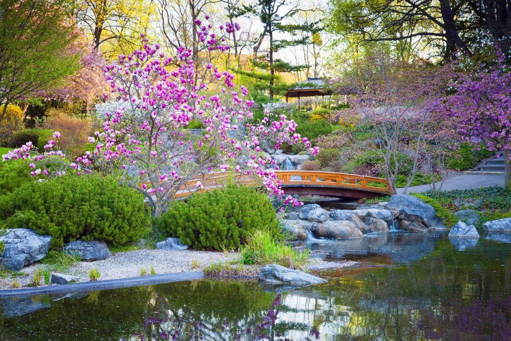 Der japanische Garten hat eine besonders lange Tradition: seit dem 14. Jahrhundert stellt diese Form der Gartengestaltung die Verdichtung des Universums auf kleinstem Raum dar. (#03)