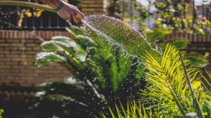 Die DIY-Pumpe kann durchaus einige Liter Wasser fördern. Das genügt vielleicht nicht, einen Acker zu bewässern, aber für das Kräuter- oder Gemüsebeet zu bewässern kann es schon genug sein. (#3)