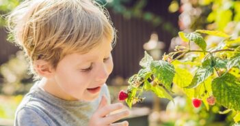 Den Garten zum Kinderparadies machen: 8 unschlagbare Tipps