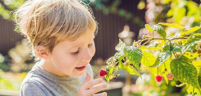 Den Garten zum Kinderparadies machen: 8 unschlagbare Tipps
