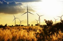 Ökostrom grüner Stromanbieter: Die wichtigsten Fakten