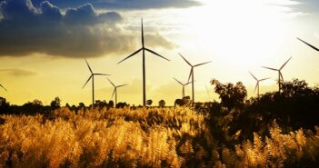 Ökostrom grüner Stromanbieter: Die wichtigsten Fakten