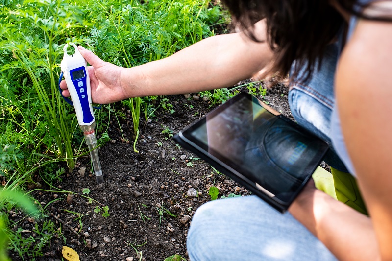 pH Sensoren im Garten werden von Hobbygärtner mit dem eigenen Gewächshaus oder im Garten häufig verwendet. (#03)