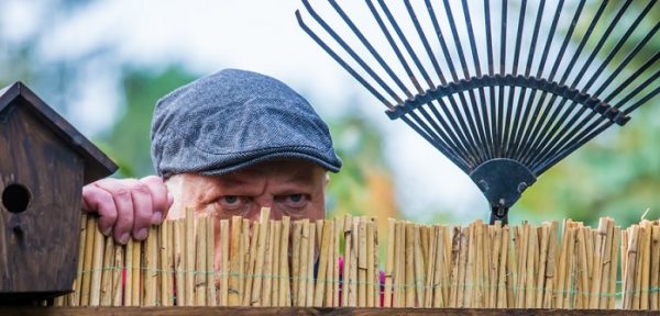 Lärmbelästigung Nachbarn Das muss man dulden! Das geht zu weit!