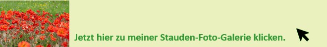 Jetzt rüberklicken und die "Ideen-Foto-Galerie" ansehen.