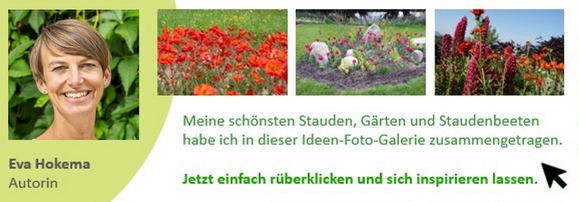 Jetzt rüberklicken und die "Ideen-Foto-Galerie" ansehen.