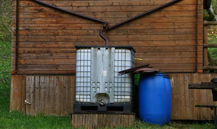 Jeder Gartenbesitzer weiß, wie viel Wasser für die Bewässerung des Gartens im Sommer verbraucht wird. (Foto: Adobe Stock- evbrbe)