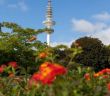 Neue Staffel des "Fernsehgarten" startet im ZDF (Foto: AdobeStock - Thorsten 530821373)