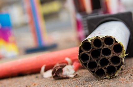 Tiere in Not: Über 1.000 Haustiere vermisst (Foto: AdobeStock - SKatzenberger 48109044)