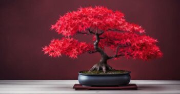 Der Bonsai Baum als gefragte Zimmerpflanze: Definition, Schnitt und Tipps zur Pflege (Foto: AdobeStock - 646335649 mimadeo)