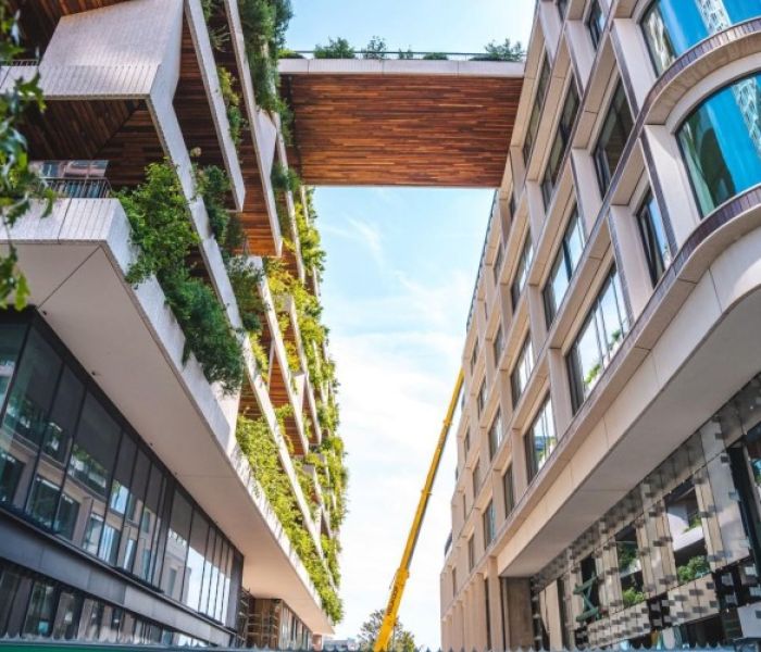 Optigrün lässt Utrecht mit dem Wonderwoods erblühen (Foto: Optigrün international AG)