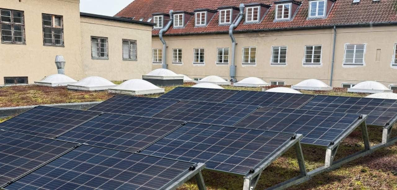 Innovatives ballastiertes Montagesystem fördert Pflanzenwachstum und schützt Dach Abdichtung Werkzeuglose TRITON flora Lösung fixiert PV-Module sicher ohne (Foto: T.Werk GmbH)