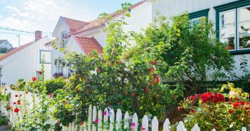 Moers ruft Balkonfreunde zu naturnahen Garteneinsendungen mit Fotos (Foto: AdobeStock - Friedberg - 380280676)