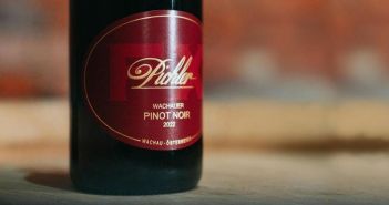 Lucas Pichler präsentiert Wachauer Pinot Noir auf Weinmesse (Foto: Co Merz)